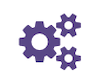 SAP Enterprise
Consulting